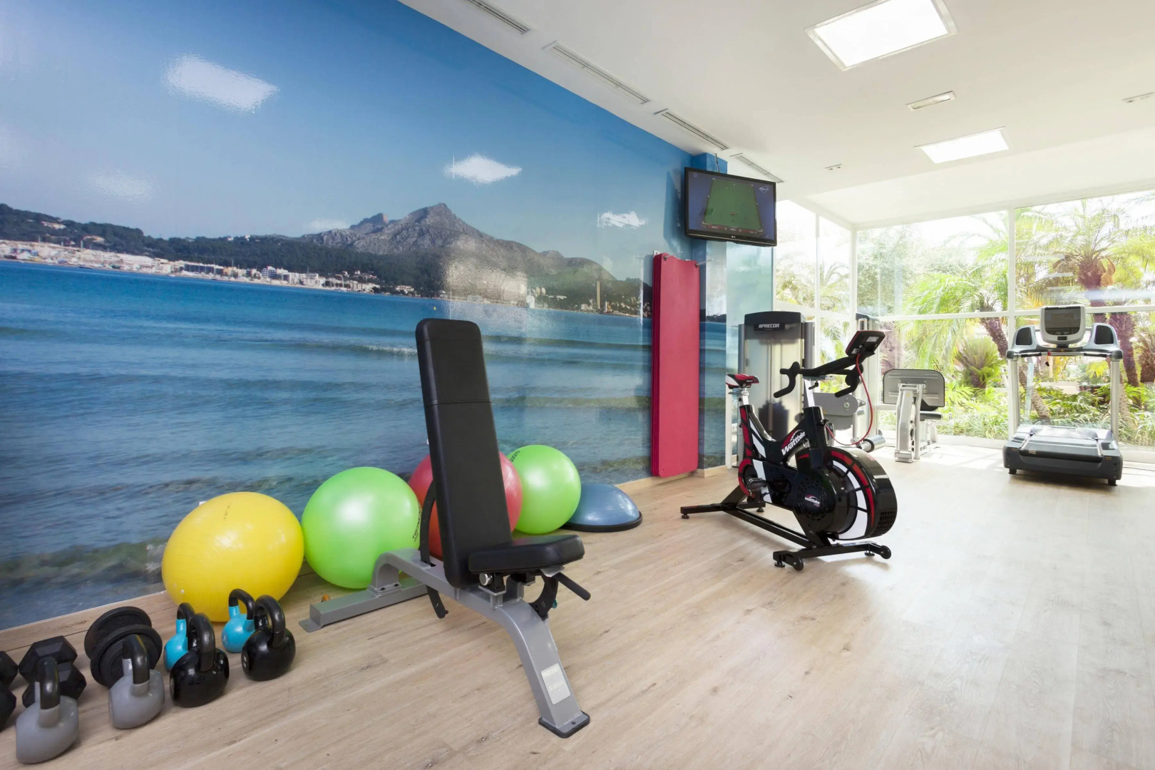 Viva Golf Adults Only 18+