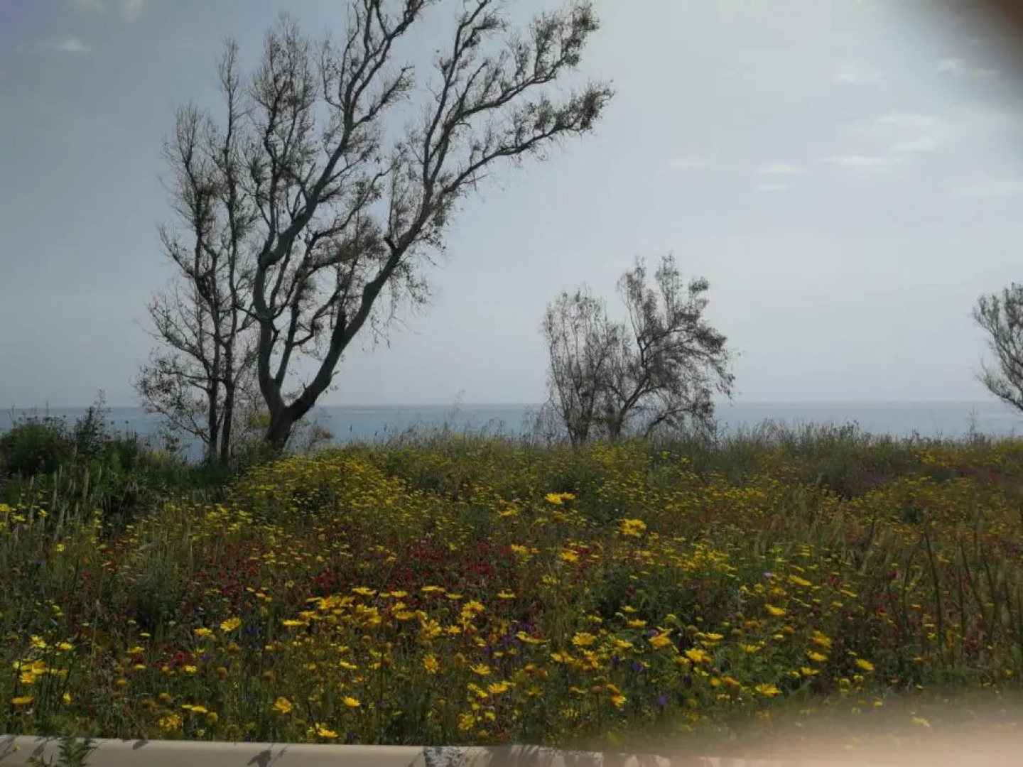 Residence Conchiglia