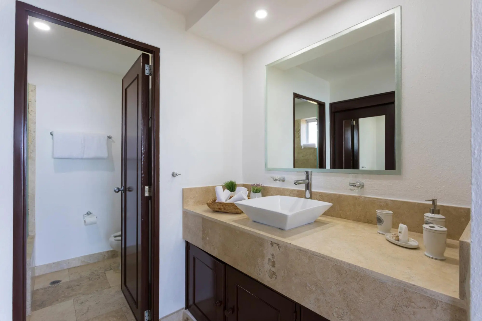 Flamingos Conchas 502