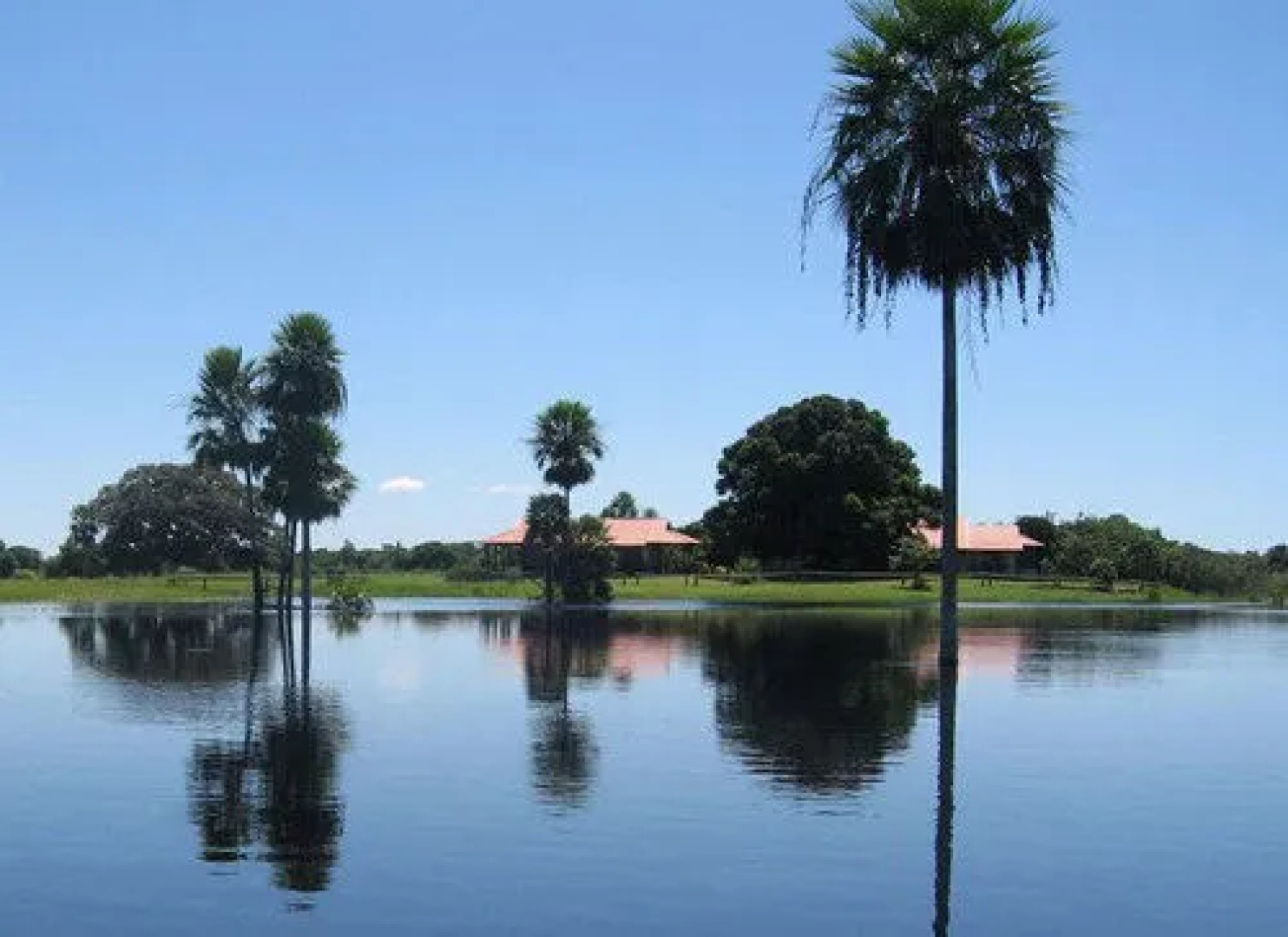 Fazenda Barranco Alto