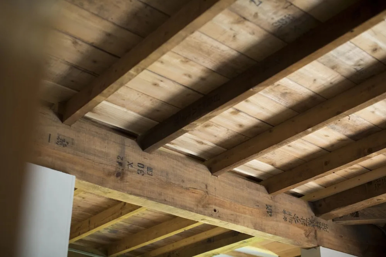 AMIGO HOUSE - Hostel