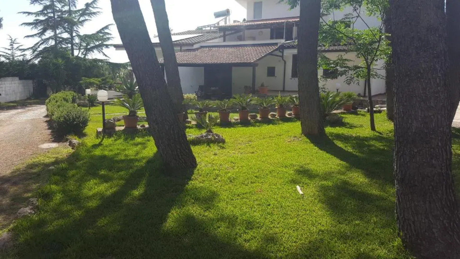 Appartamento Solepineta