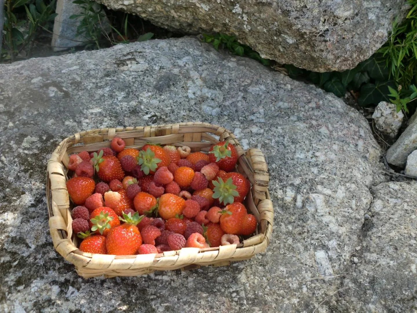 Quinta Do Circo - Serra Da Estrela - Turismo Rural