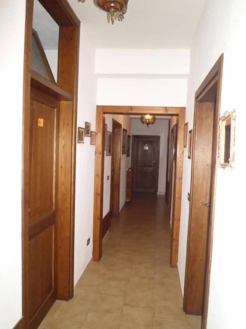 B&B Forconensis