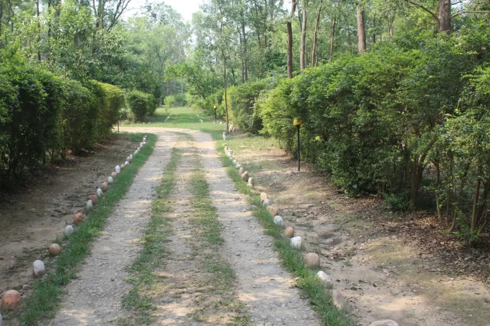 Suklaphanta Jungle Cottage