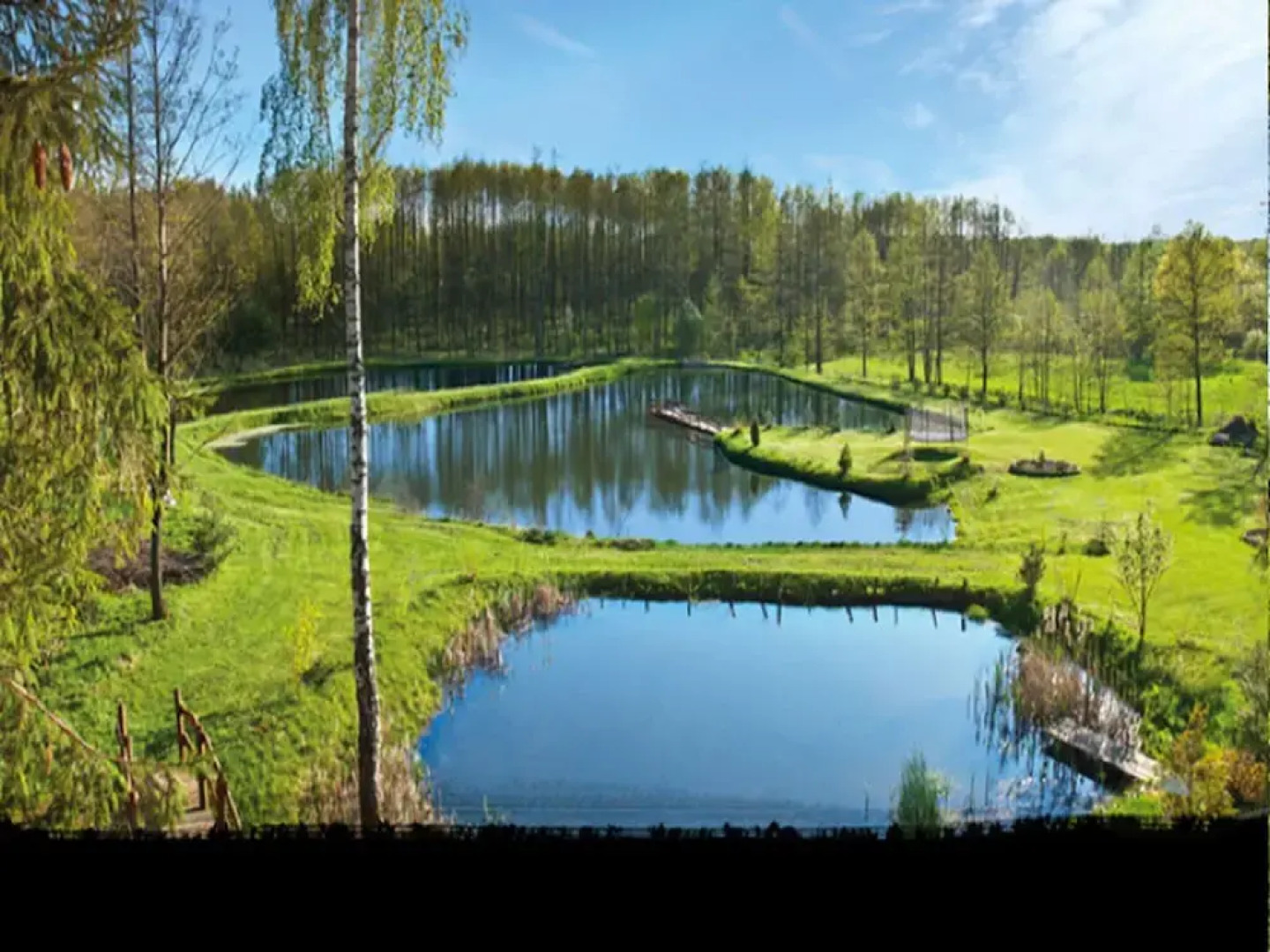 Rustic Riverside Cabin in Forest