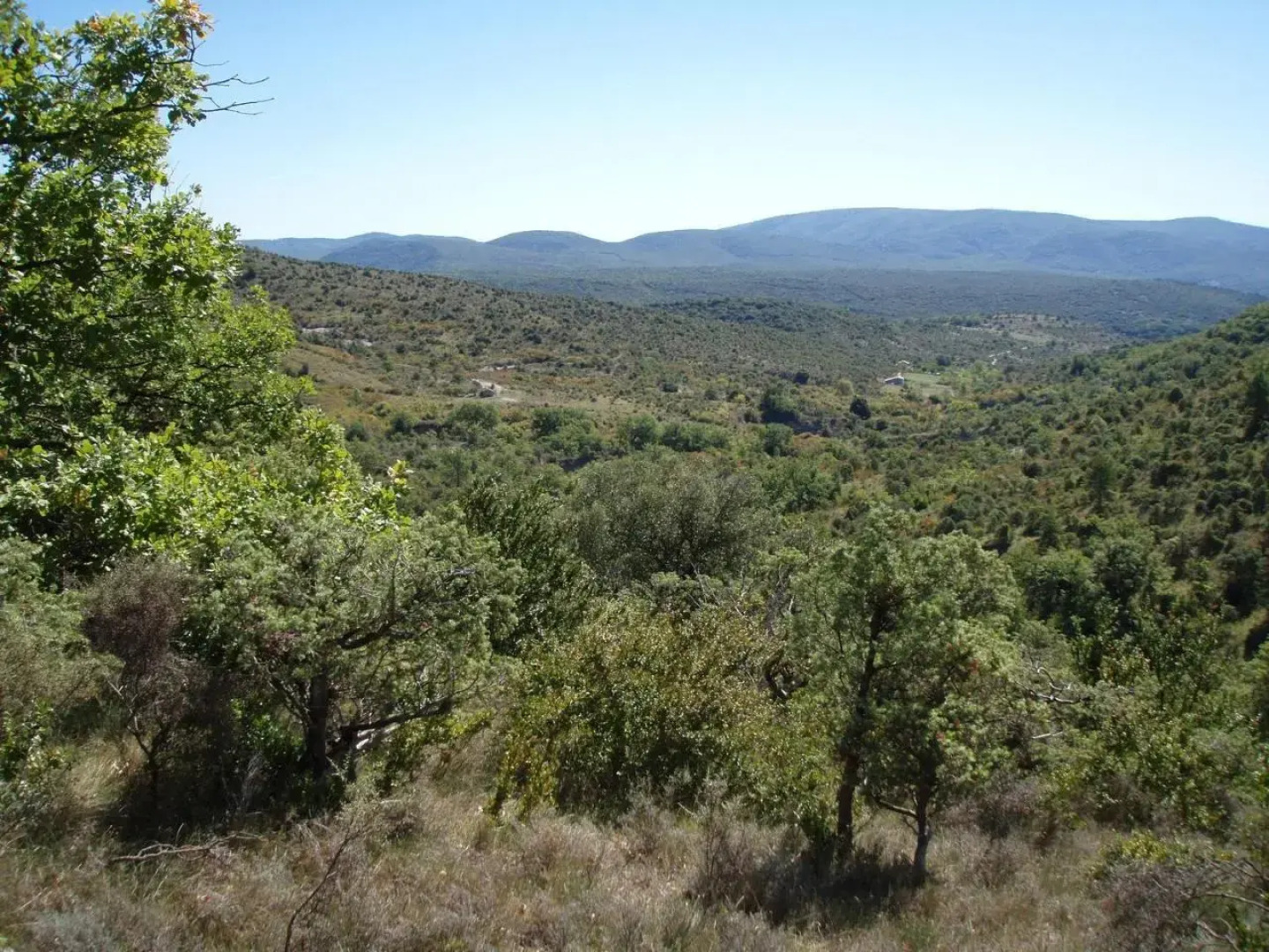 Lespine-10 min Caverne Pont d'Arc