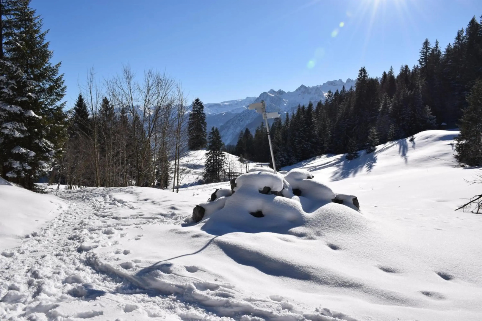 Ferienwohnung Alpblick