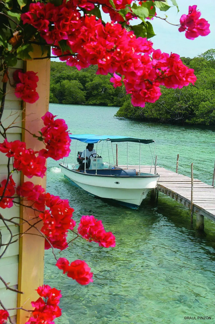 Punta Caracol Acqua Lodge