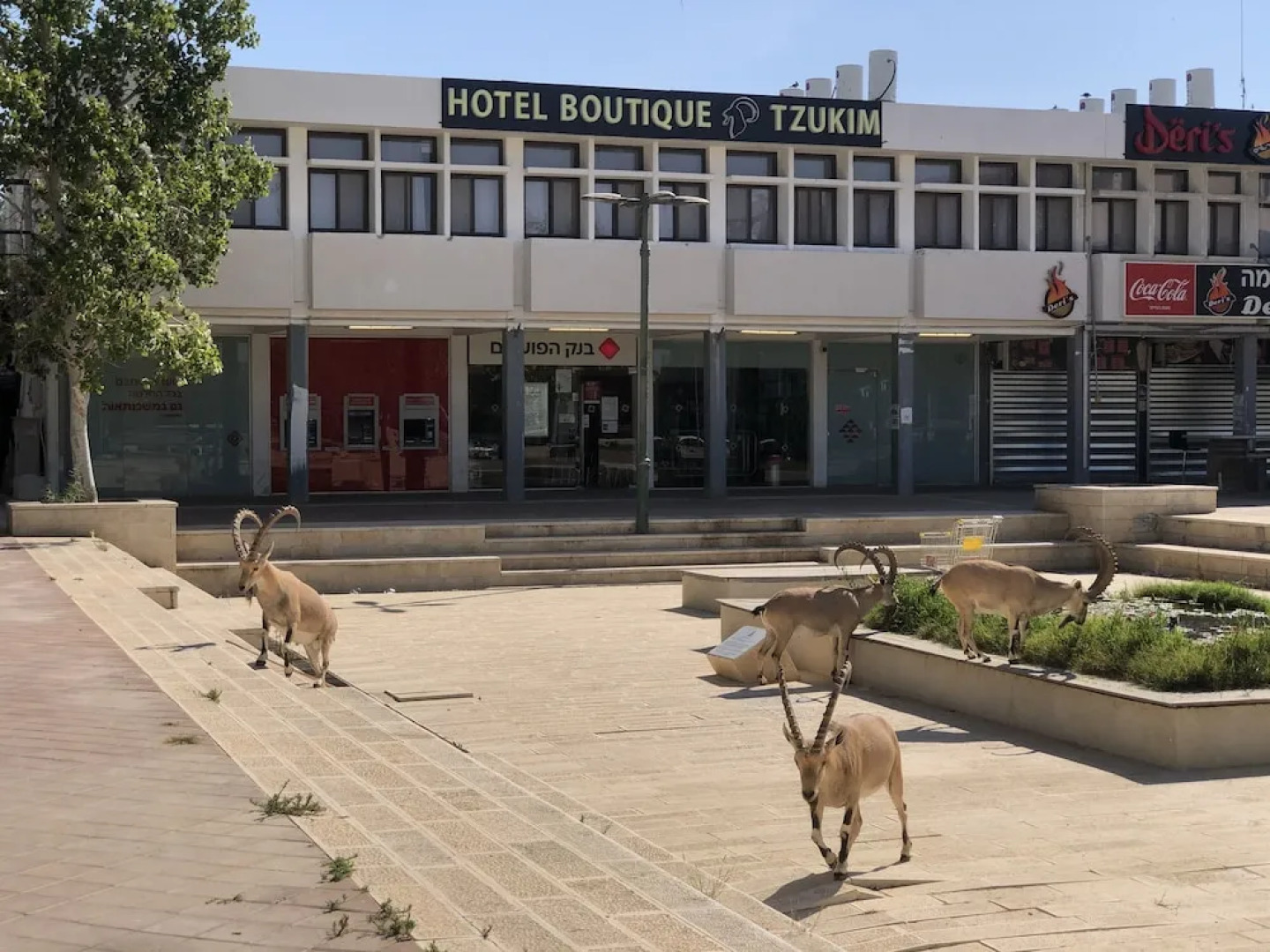 Boutique Hotel by Tzukim