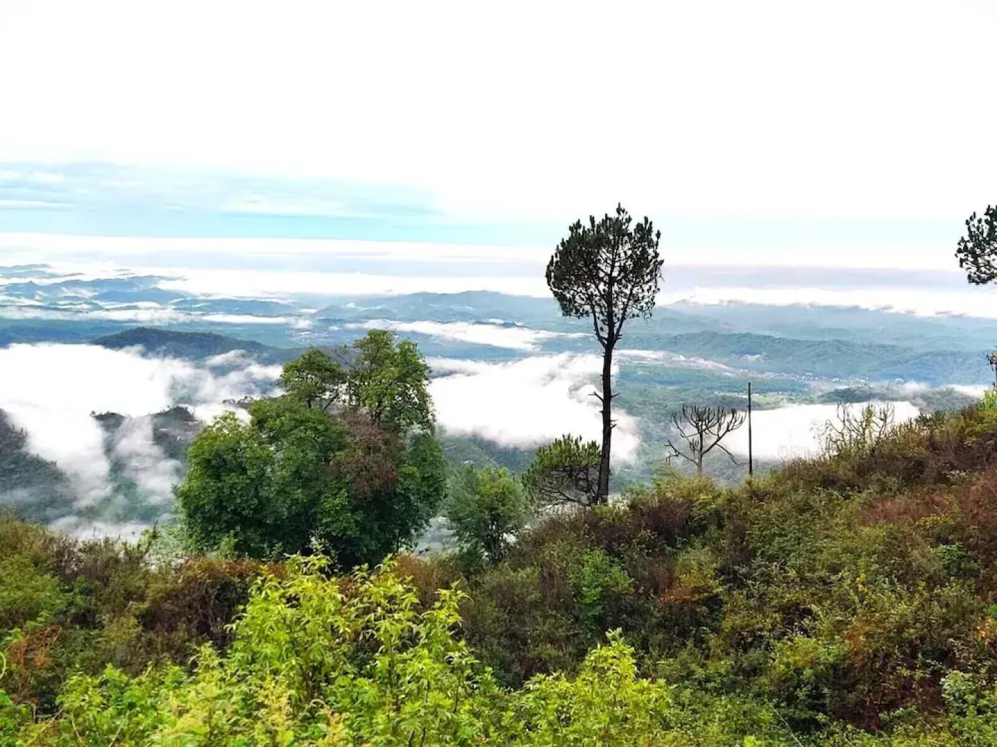 Jaitak Resort By Pine