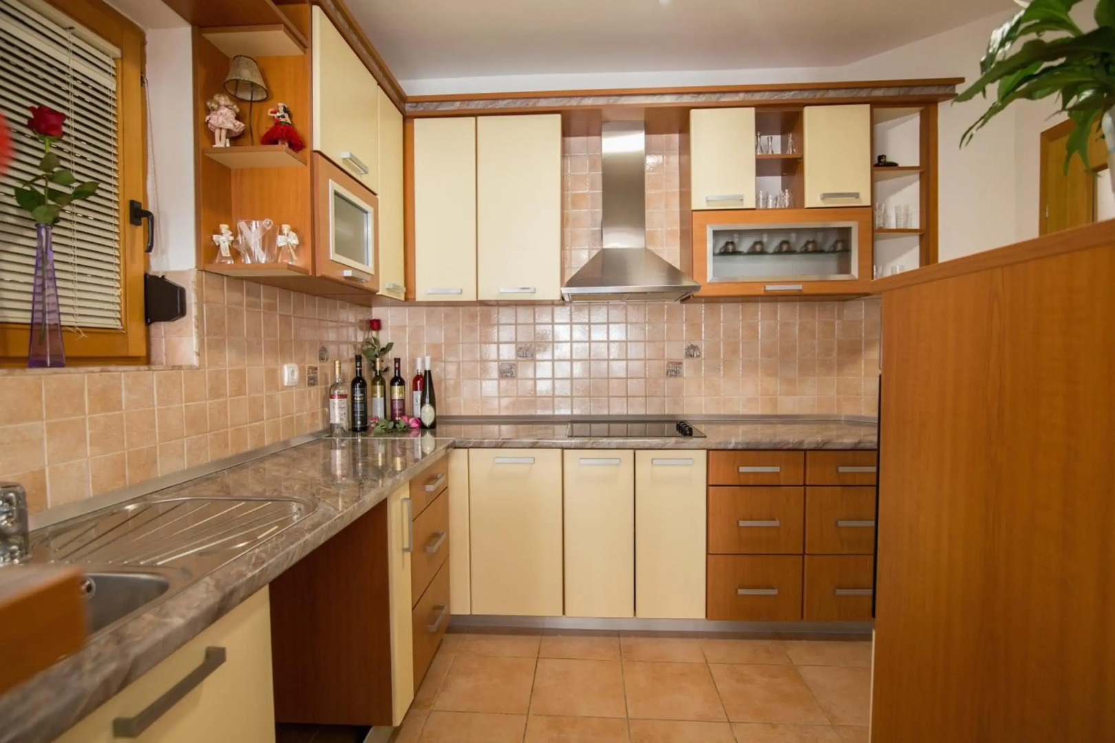 Luxury Apartments Taša