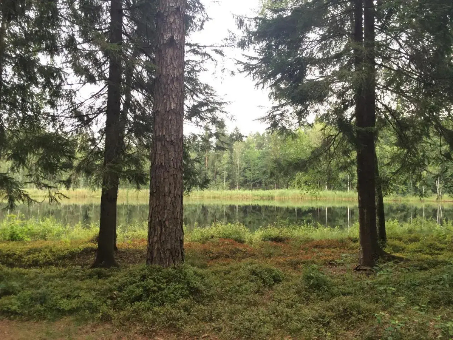 Domek Letniskowy Na Mazurach