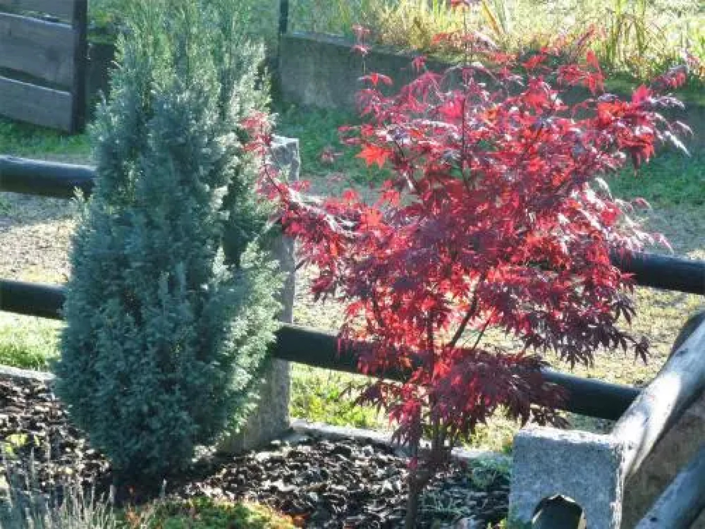 Gîte du Stemlisberg