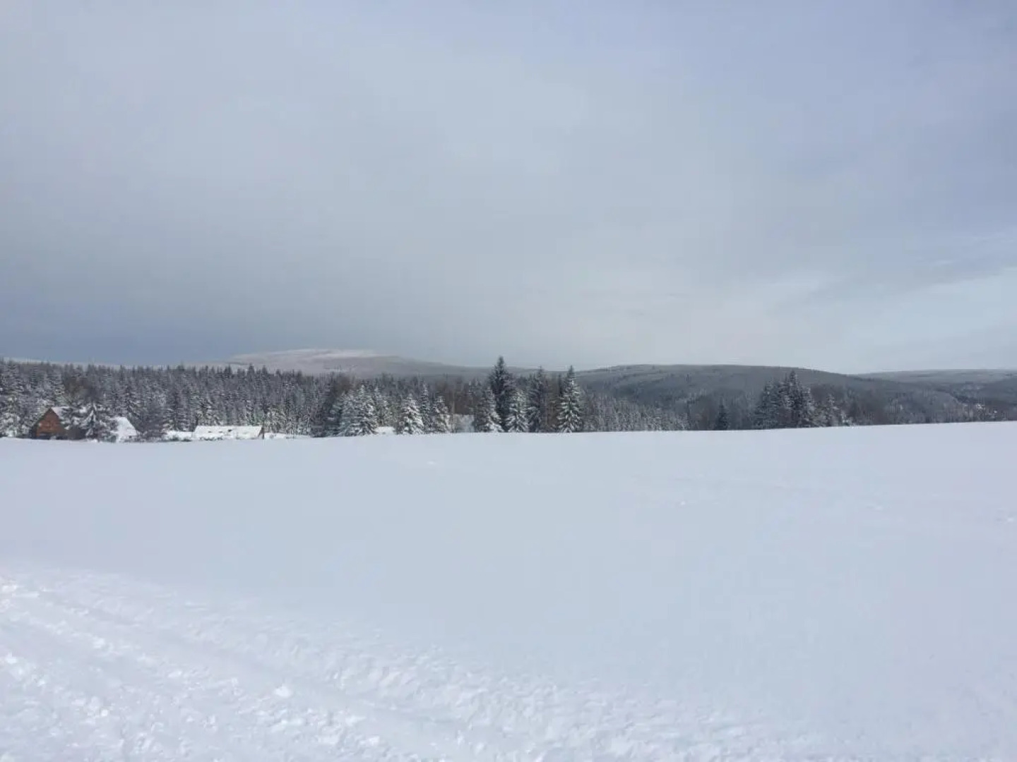 Apartments Dřevona II
