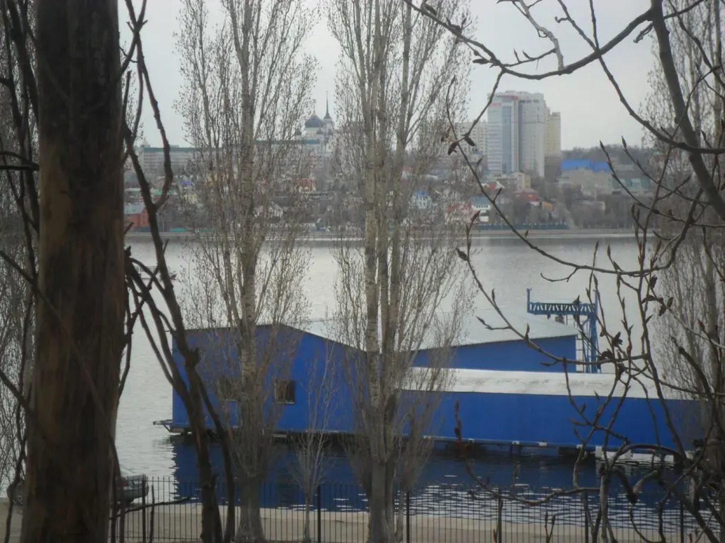 Меблированные комнаты Bark