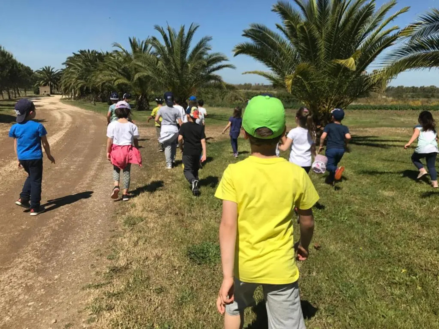 Agriturismo Il Giglio