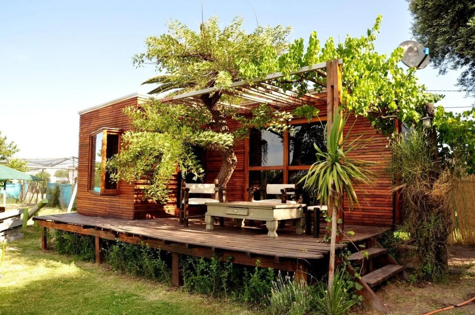 Caba�as Sangiovese Club