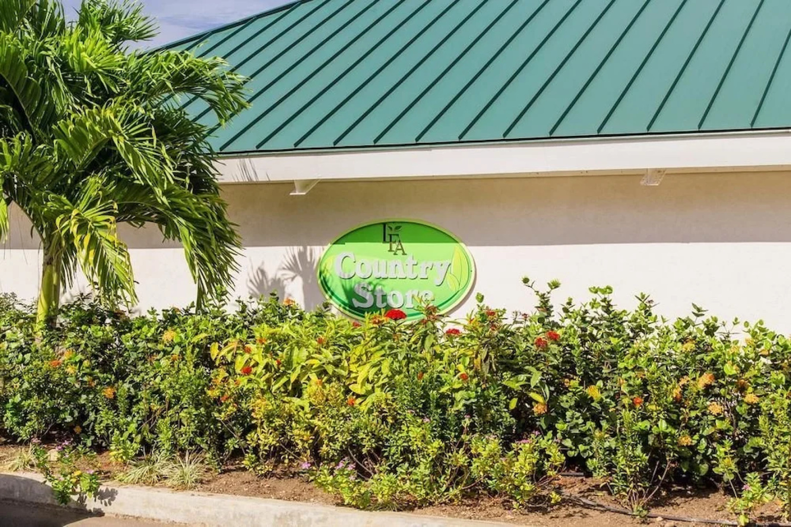 Tranquillity at The Palms