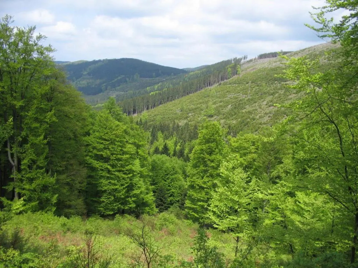 Ferienhaus Haus am Medebach