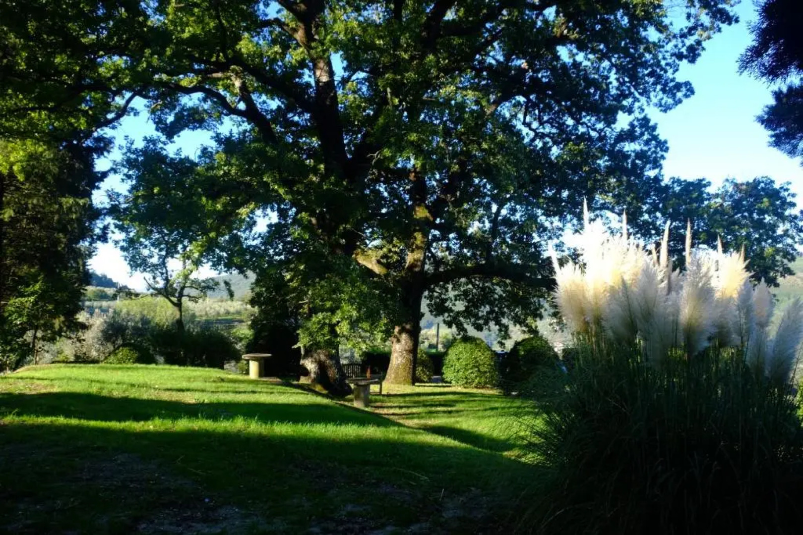 Agriturismo Il Ponticello