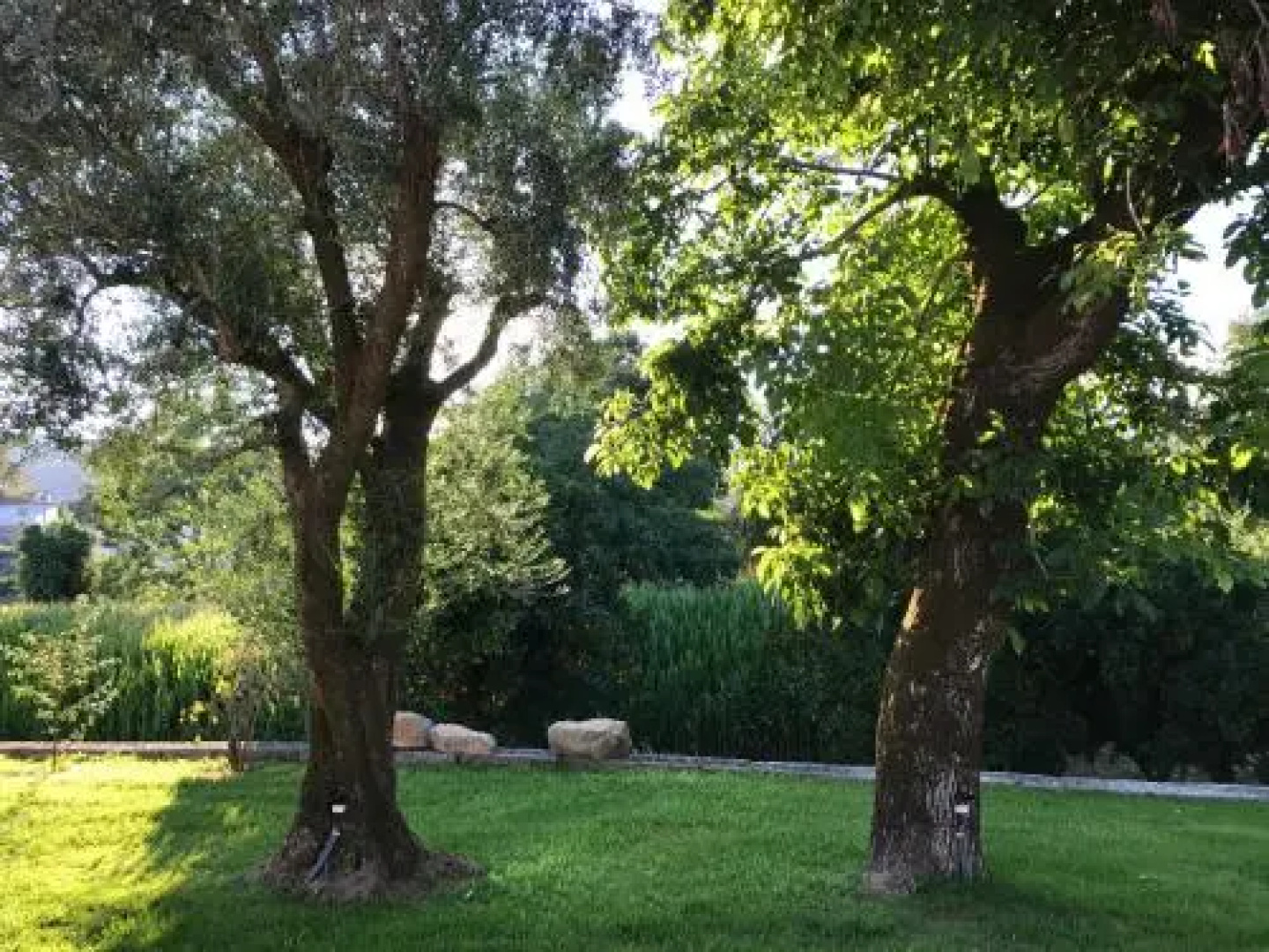 Quinta do Giestal