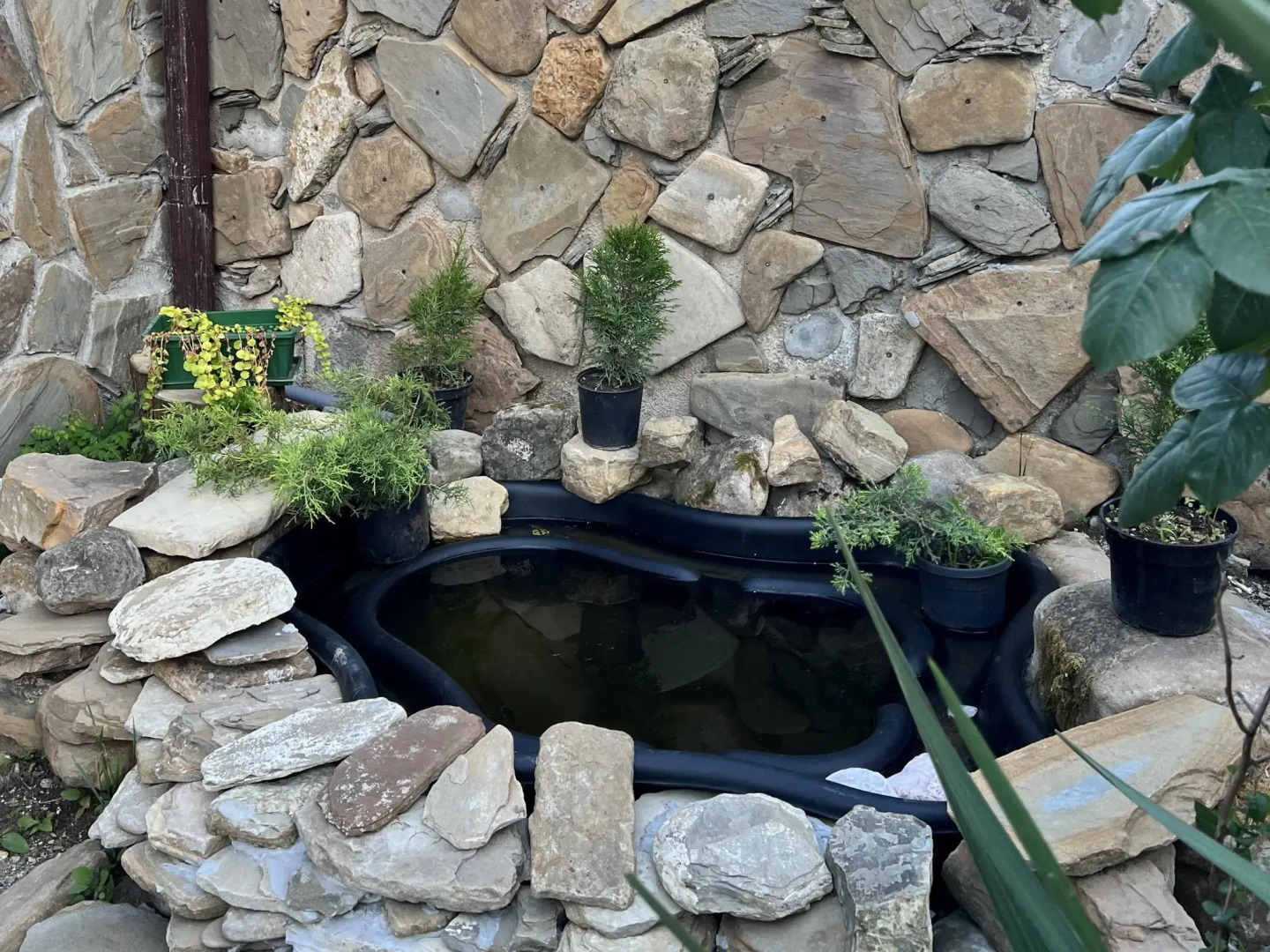 Гостевой дом Шале у моря