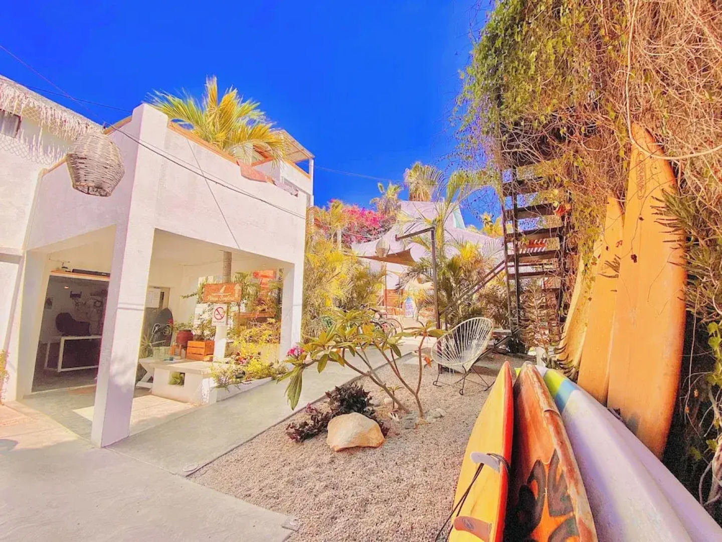 Perro Surfero Hotel Boutique - Todos Santos, BCS