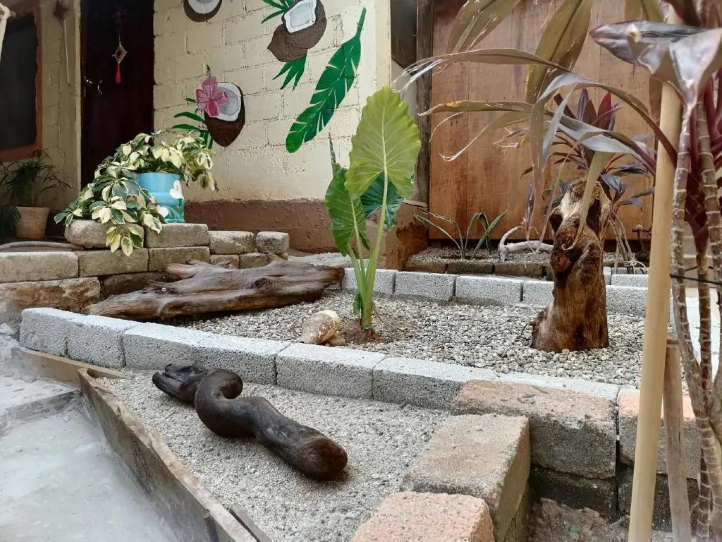 Ivanna hostel mazunte