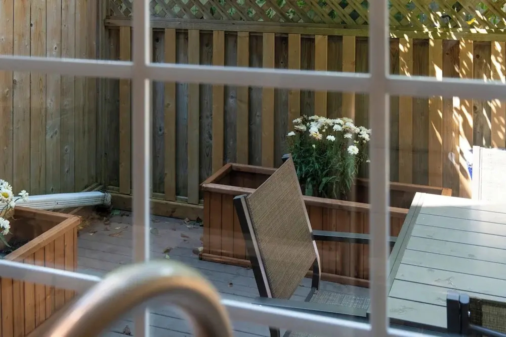 Downtown Sustainable Garden House