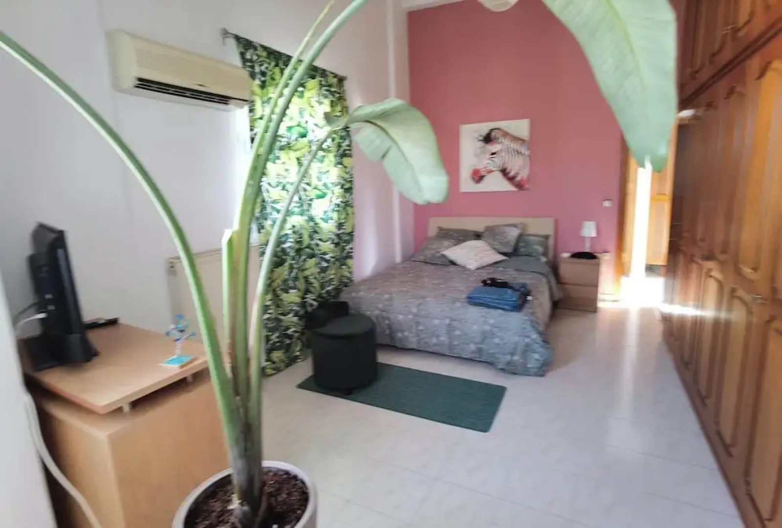 Freeman Greenlees Classical Greek