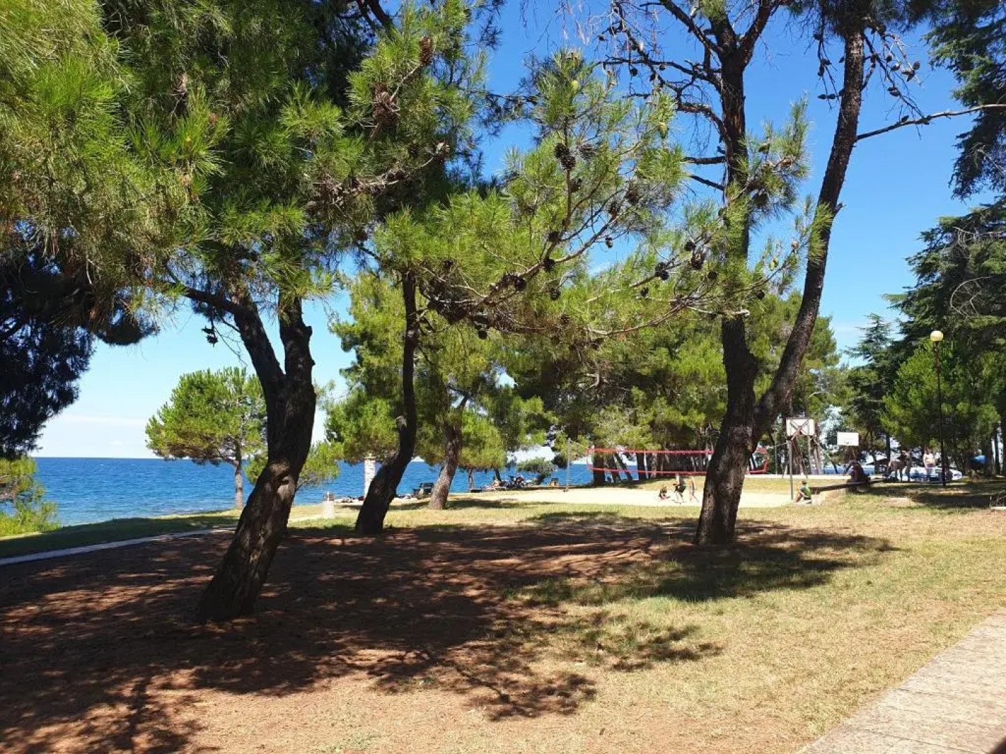 Youth Hostel Pinesta