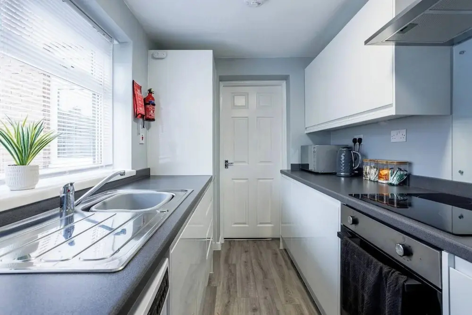 Lilly Rose Bedlington