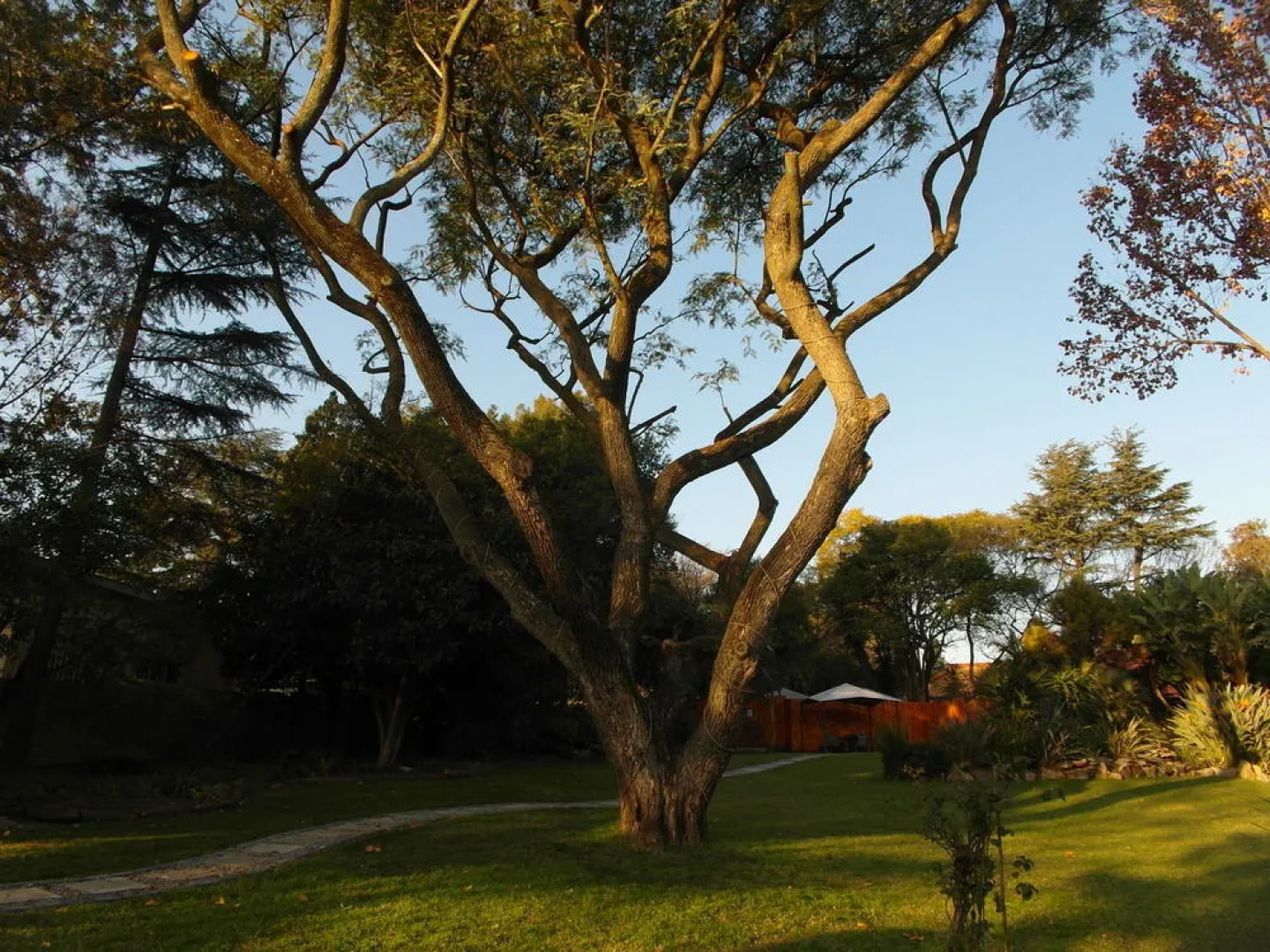 Silverstone Guest House