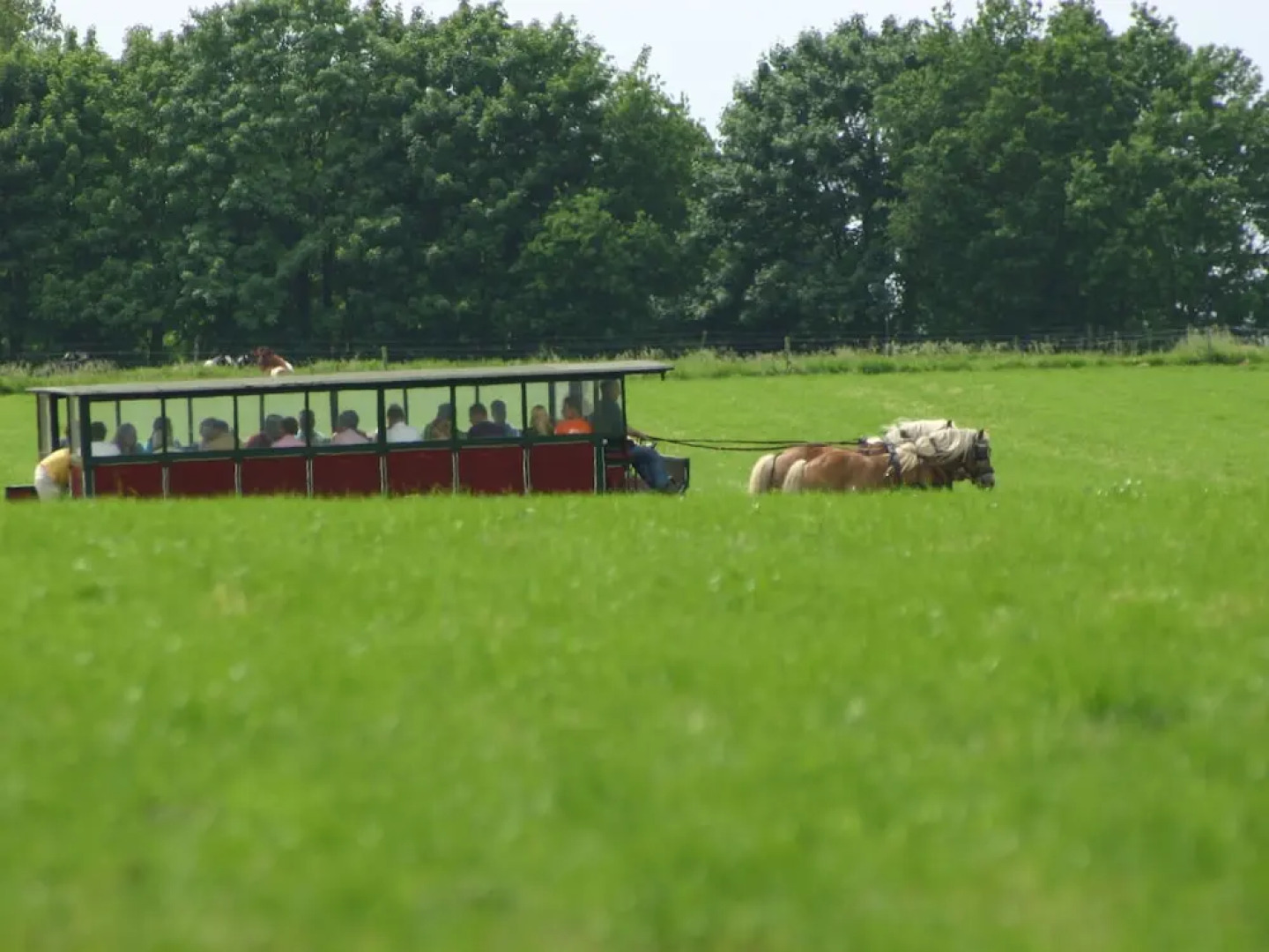 Chalet in Overijssel With Spacious Terrace