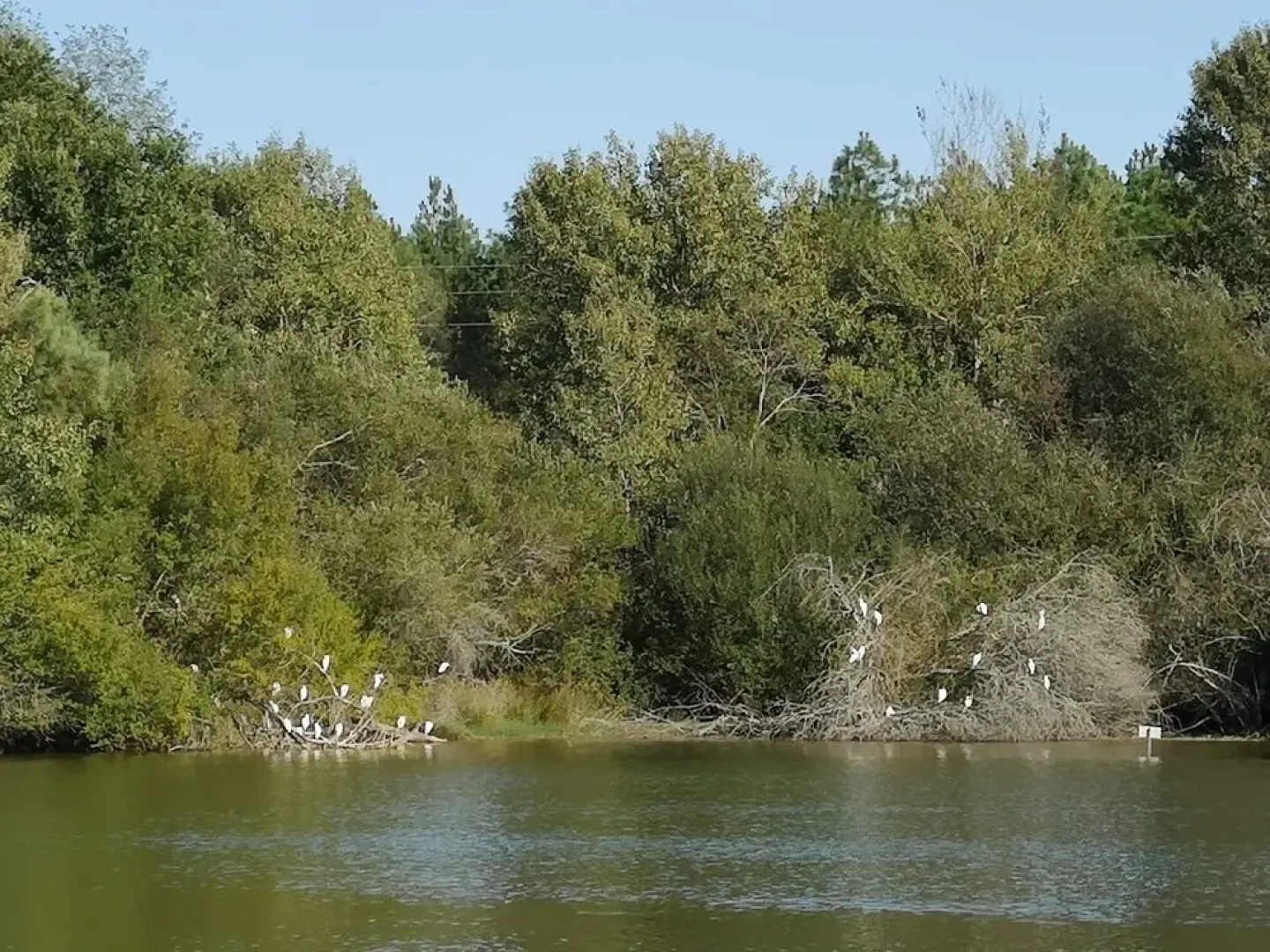 Eco Lodges du lac