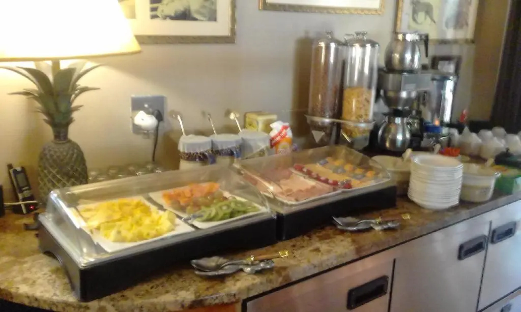 Trees Too Guest Lodge