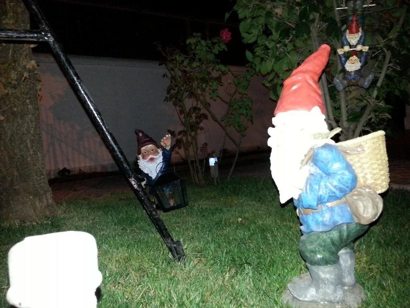 The Magic House B&B Hostel