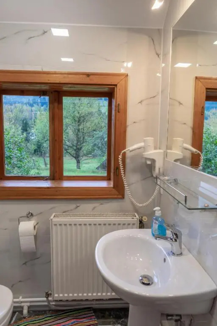 Pensiunea Poiana de Vis