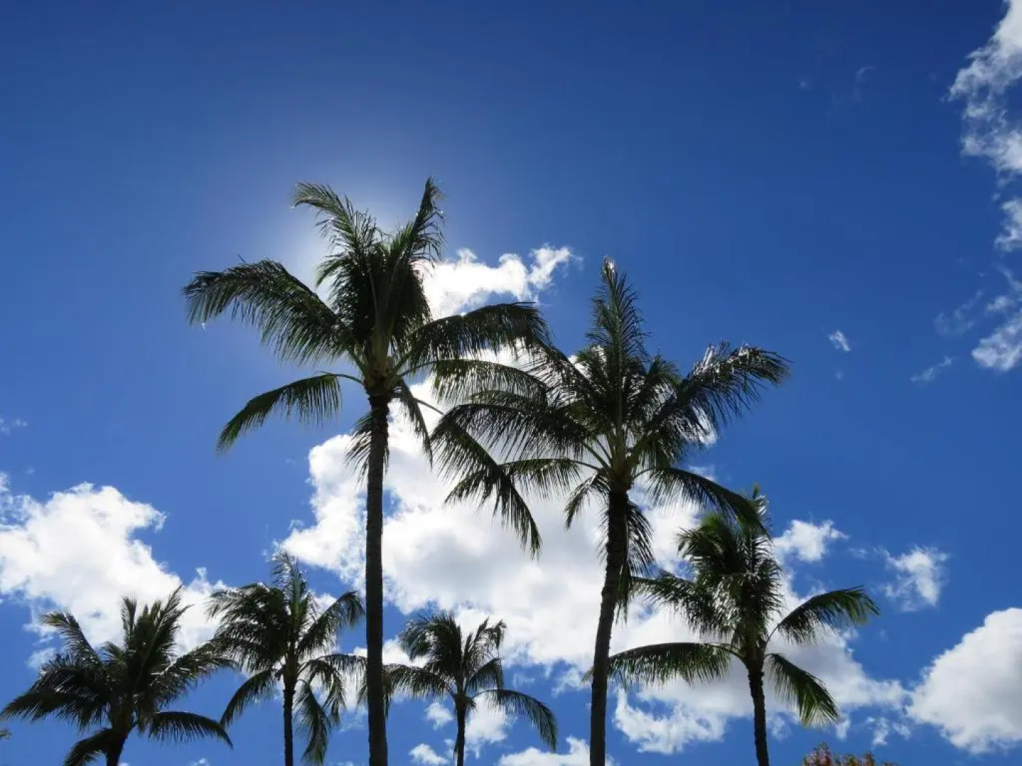 Inchcape Seaside Villas