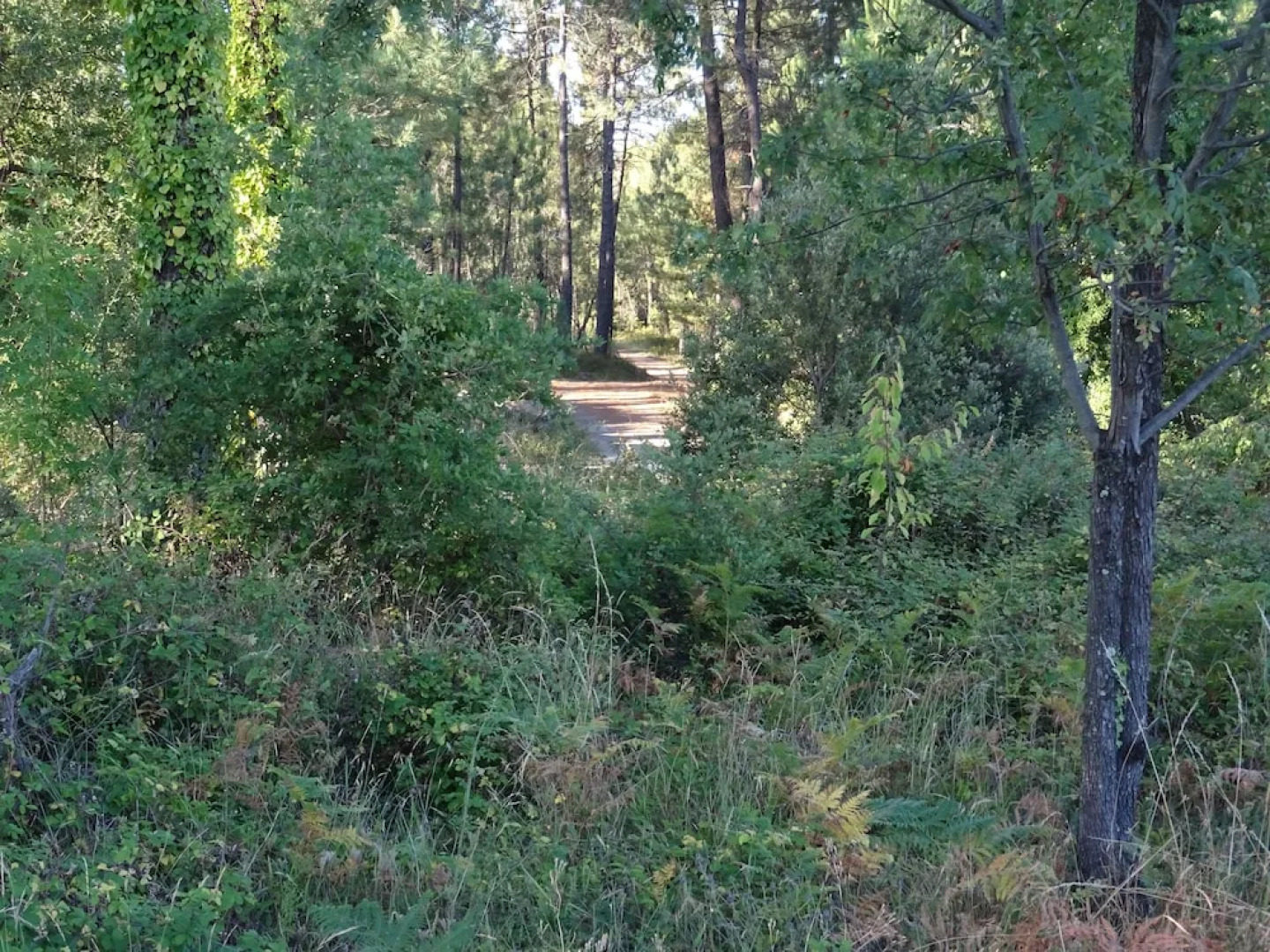 Le Pressoir De La Deveze