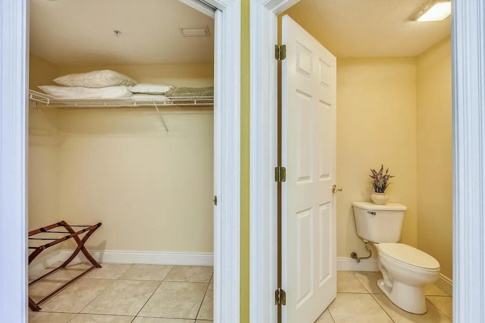 Treasure Island 1102