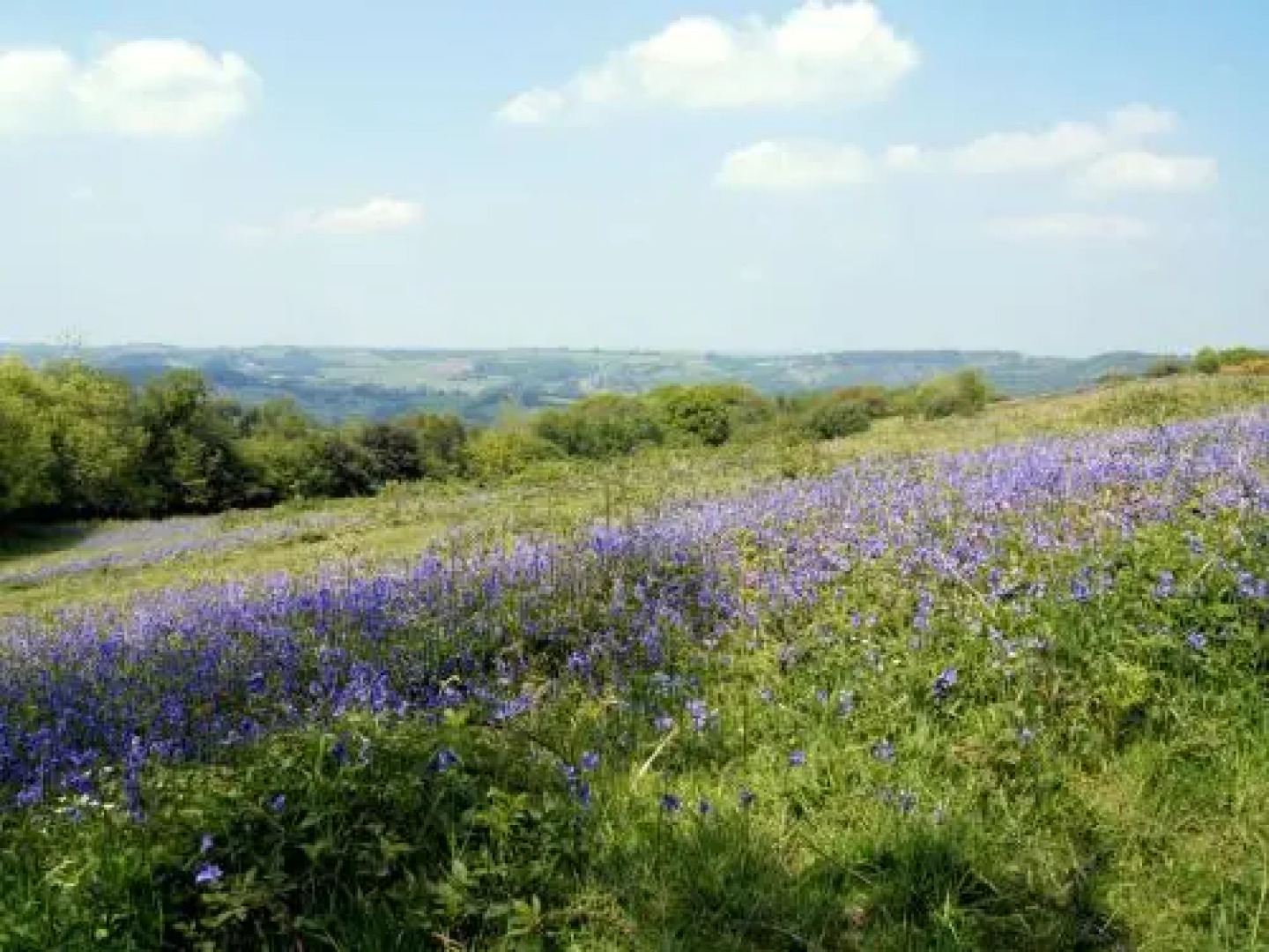 The Cottage, Moretonhampstead