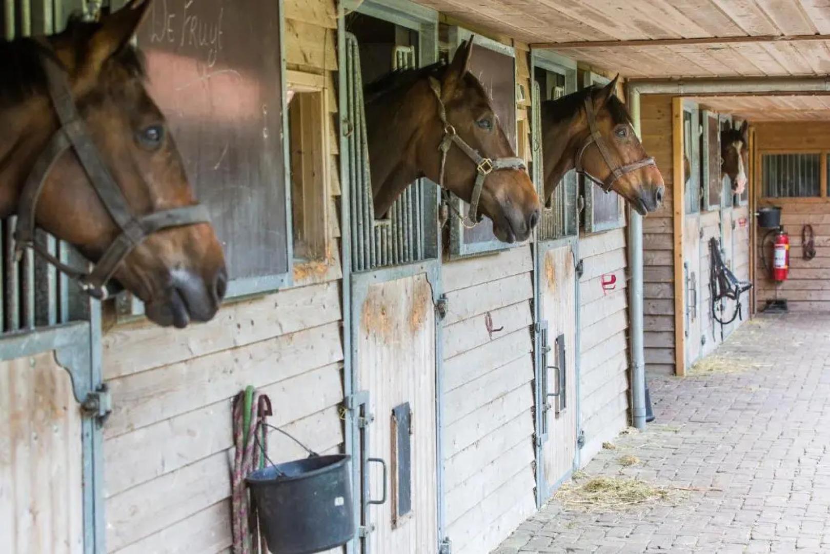 Relais & Chateaux Hotel Landgoed Het Roode Koper