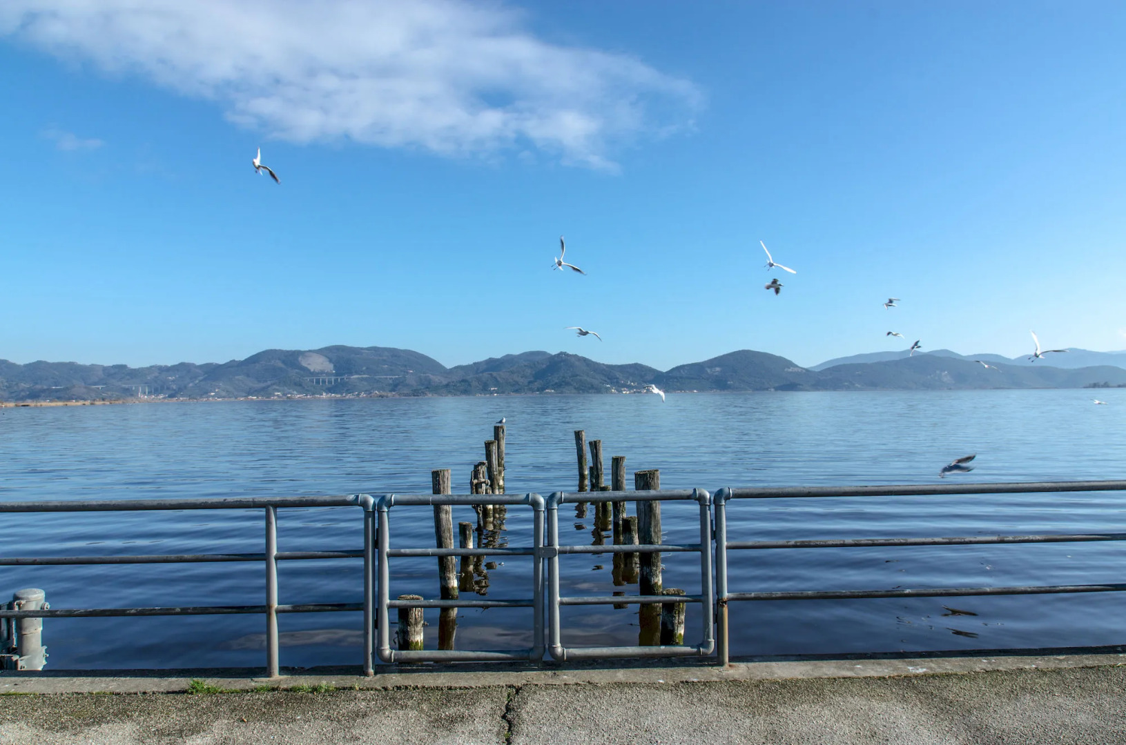 Hotel Butterfly - We Suite