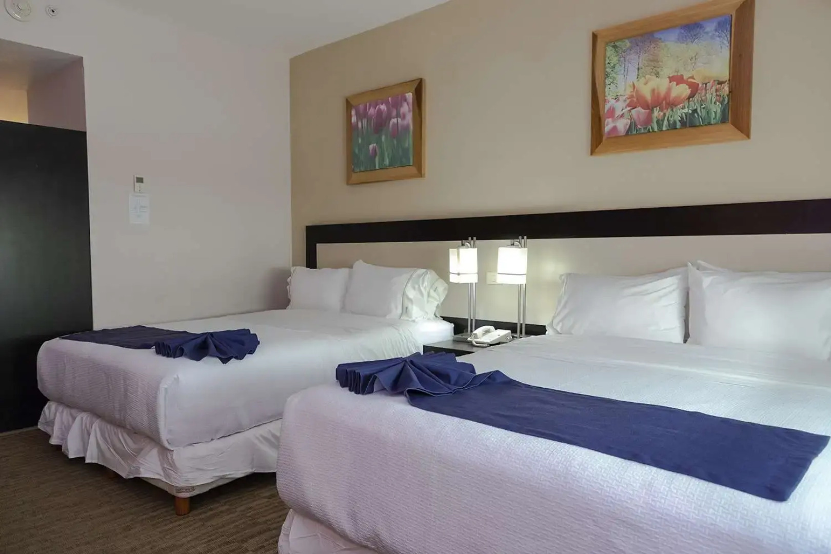 Excellence Express & Suites