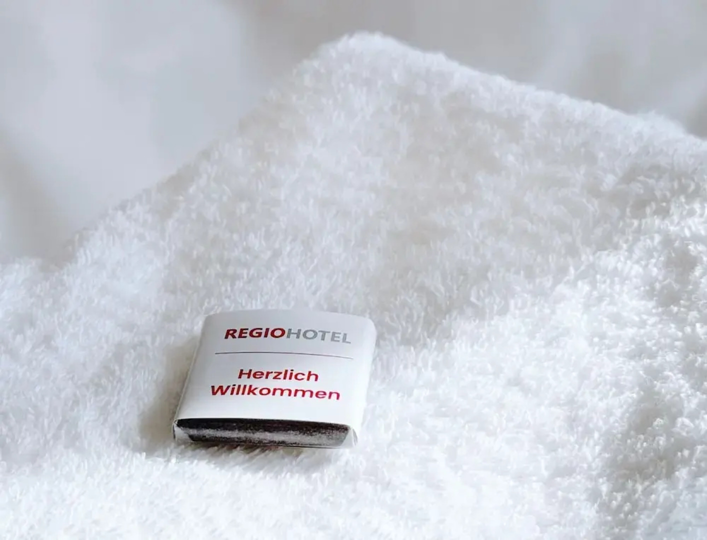 Regiohotel Wittekind Burg