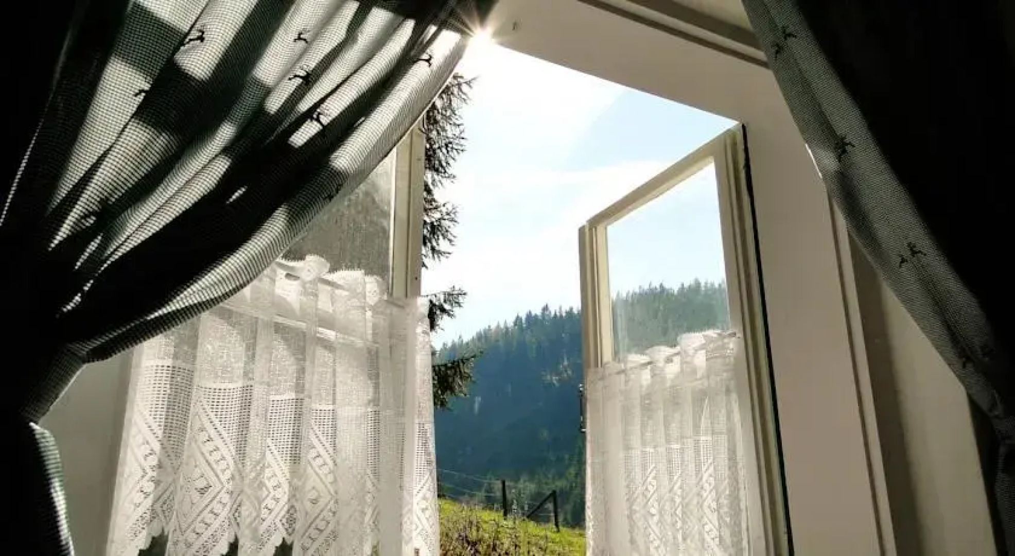 Zinkhaus - Waldheimat Alpl