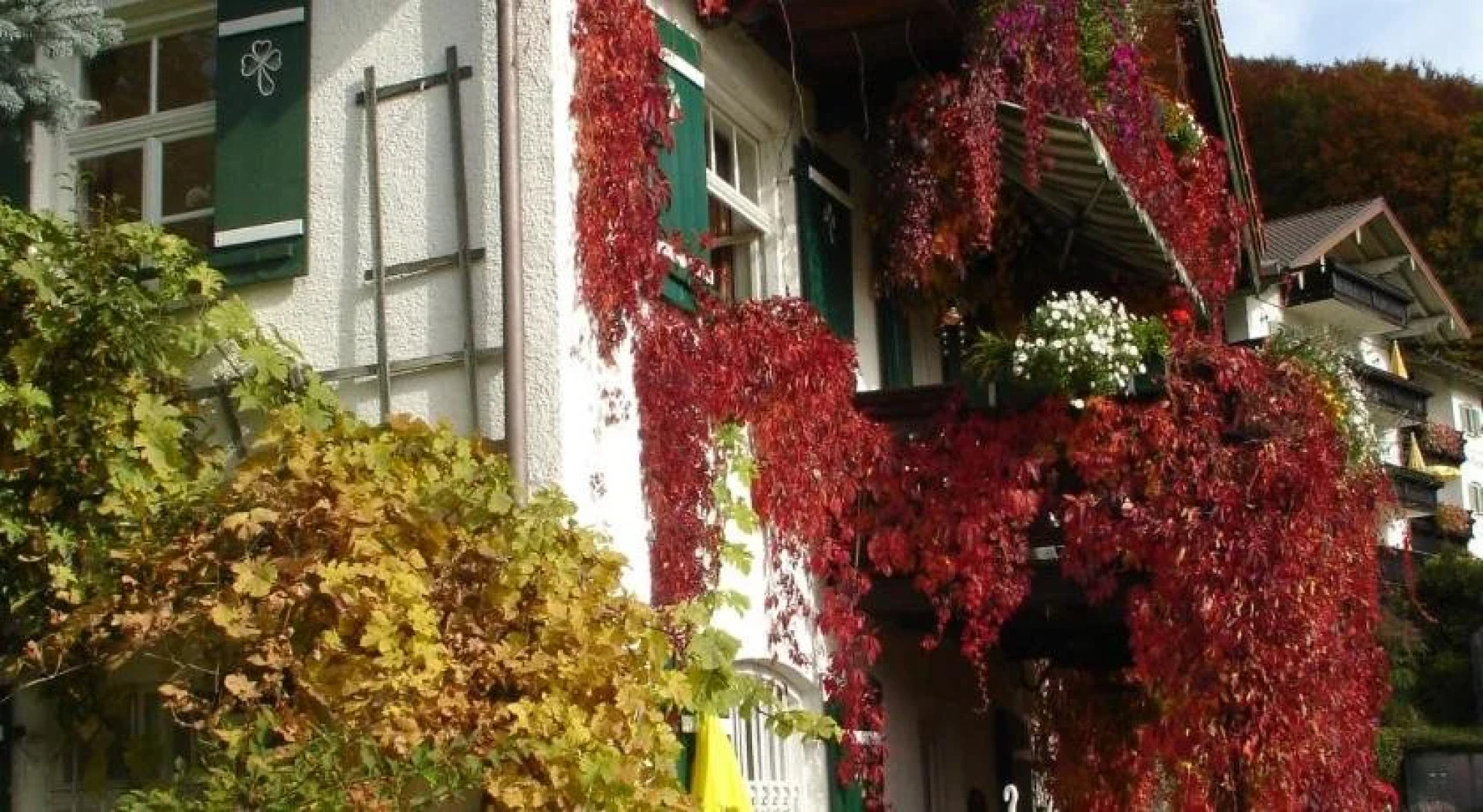 Pension Schwarzenbach
