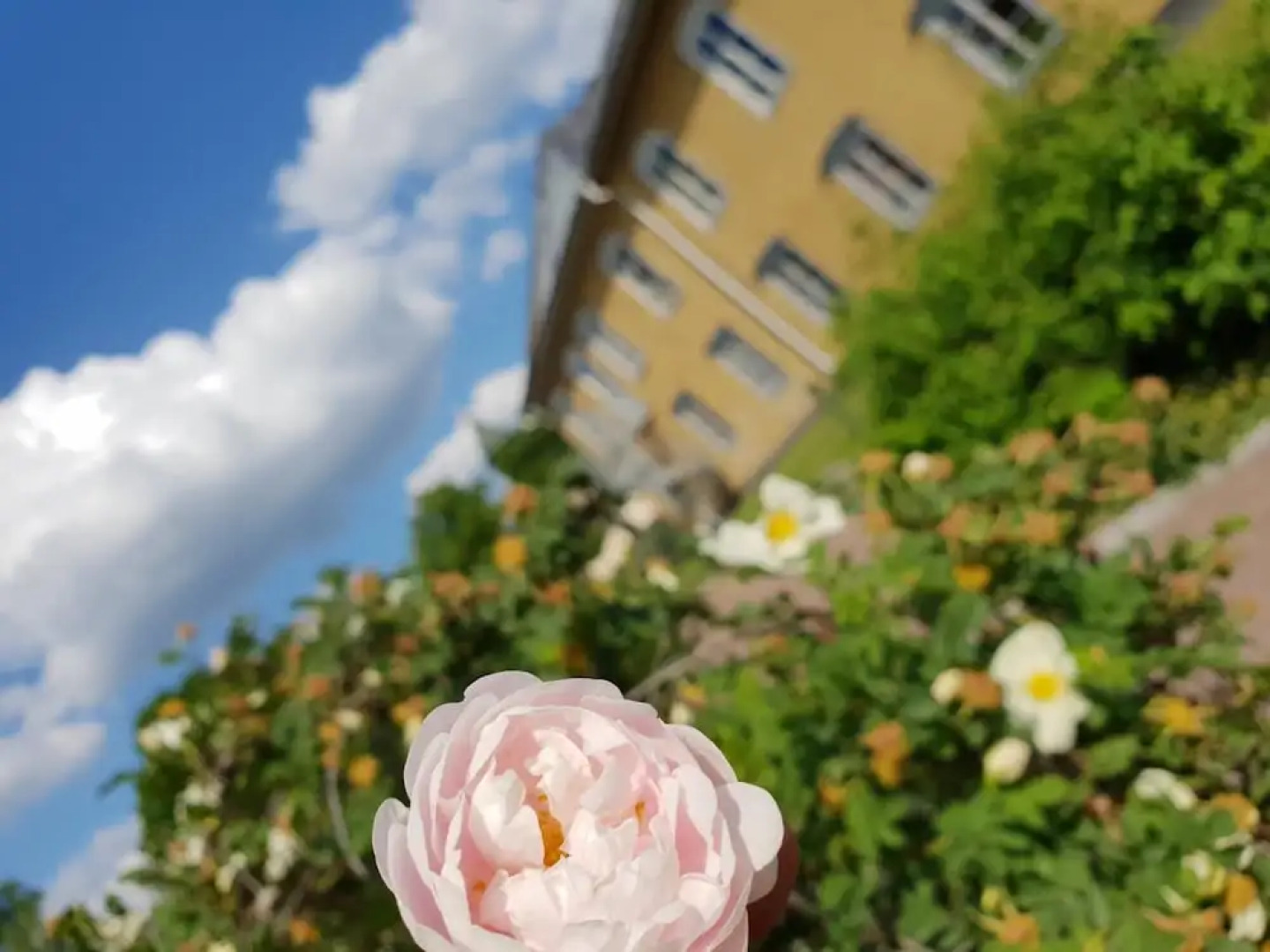 Hedemora stadshotell